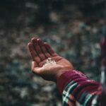 ali-kazal-s9-eCojlrZ4-unsplash